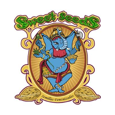 Sweet Seeds feminisierte Cannabis Samen - 1 Gratisprobe