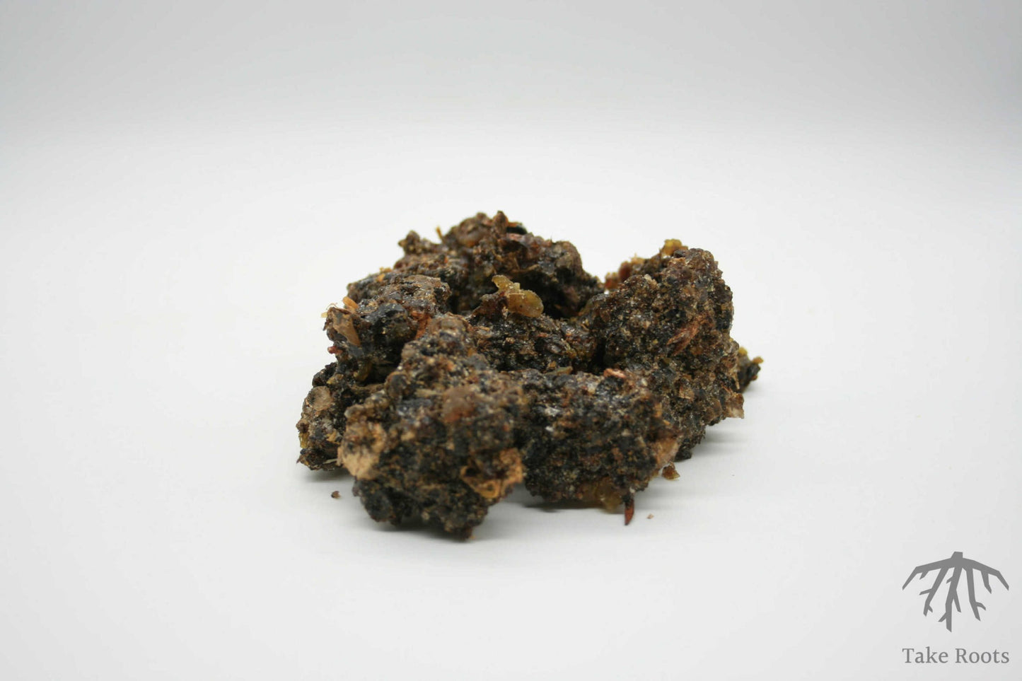 Guggul (commiphora mukul), Take Roots