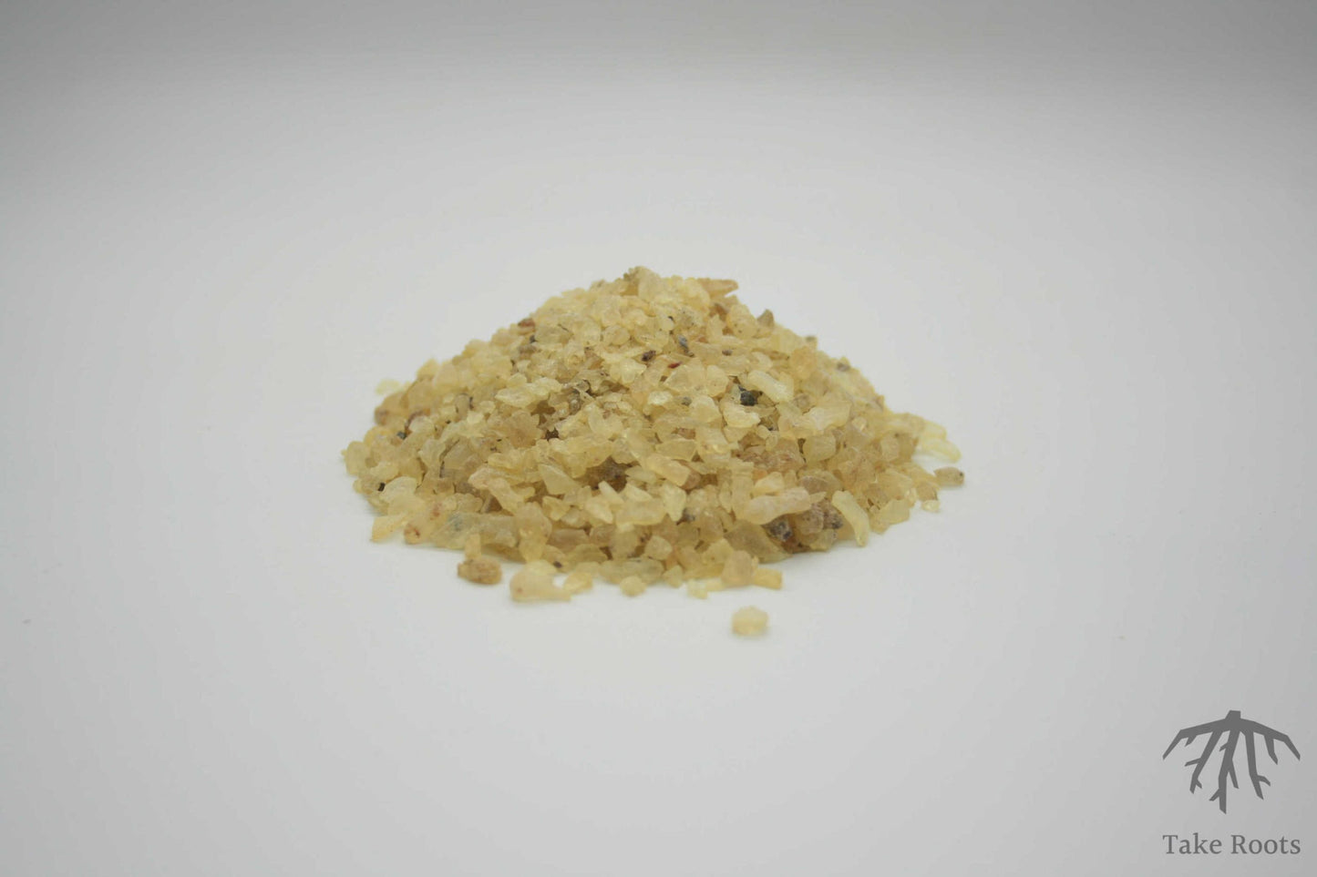 Copal Blanco (Protium crassipetalum), Take Roots
