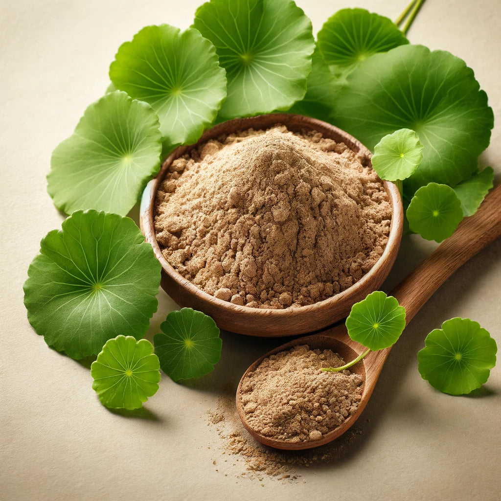 Gotu Kola Extrakt mit 40% Asiaticoside