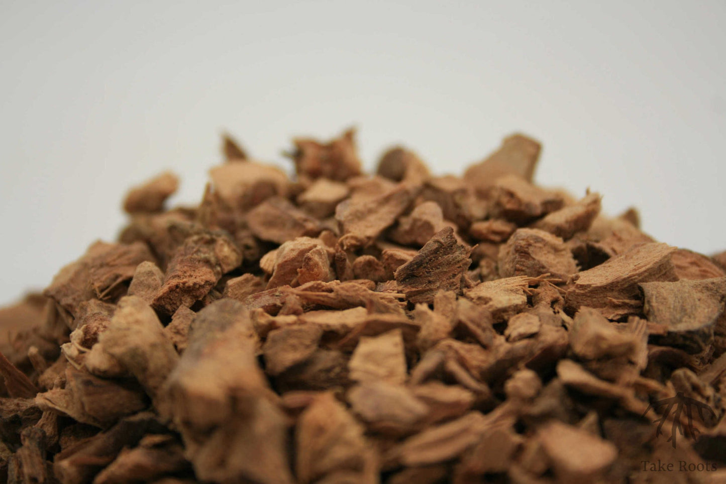 Galgantwurzel (Alpinia officinarum), Take Roots