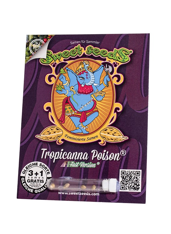 Tropicanna Poison XL Auto®
